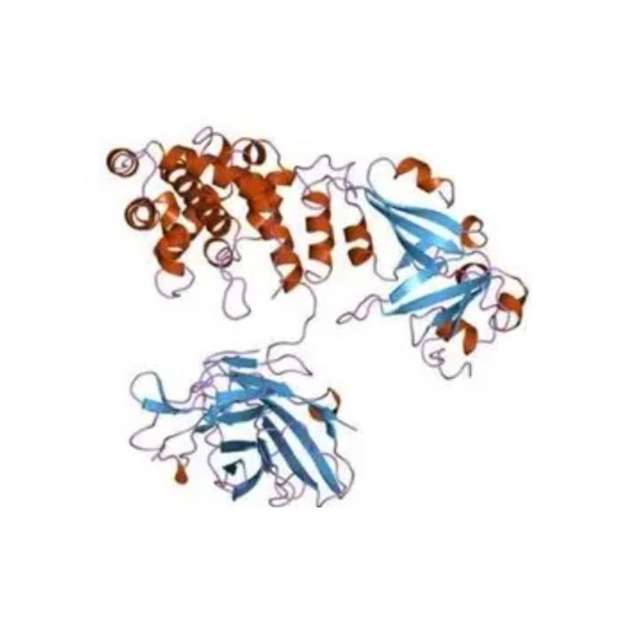 Diphtheria Toxin -   CAS No(MFCD00163490) by Aladdin Scientific
