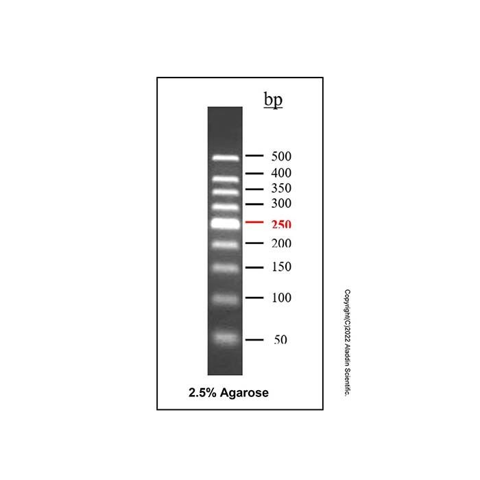 DNA Ladder (50-500bp) - BioReagent, ready-to-use, suitable for electrophoresis, Suitable for molecular biology, for NA electrophoresis, 50-500bp, 9 bands, Blue,  50bp/ 100bp/ 150bp/ 200bp/ 250bp/ 300bp/ 350bp/ 400bp/ 500bp  by Aladdin Scientific