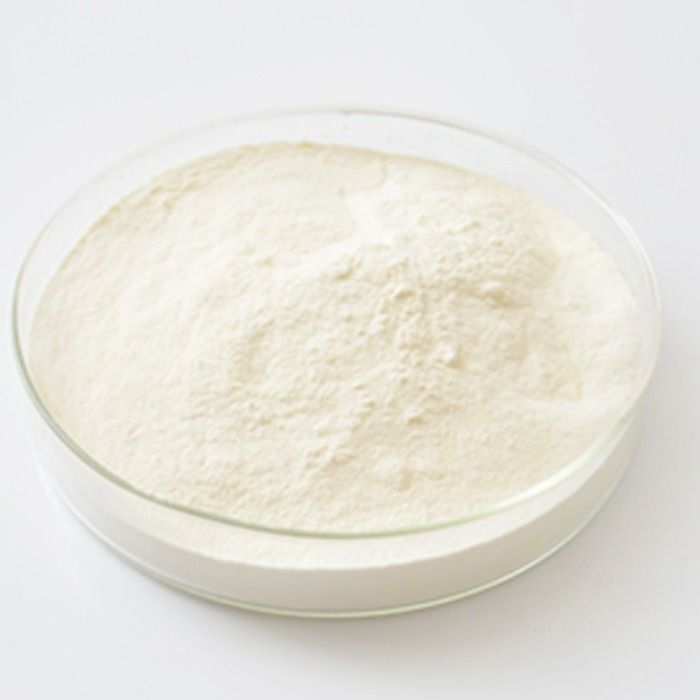 Chondroitin sulfate sodium (from Chicken Cartilage) - ≥90% CAS No(9082-07-9) by Aladdin Scientific