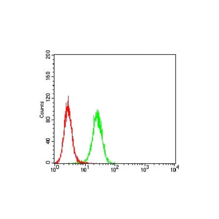PDPK1 Mouse mAb -    by Aladdin Scientific