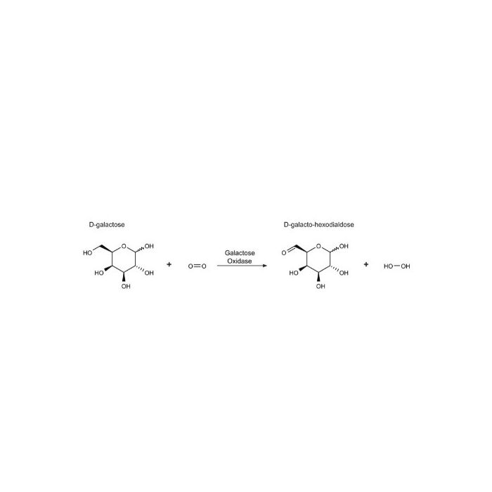 Galactose Oxidase from Dactylium dendroides -   CAS No(9028-79-9) by Aladdin Scientific