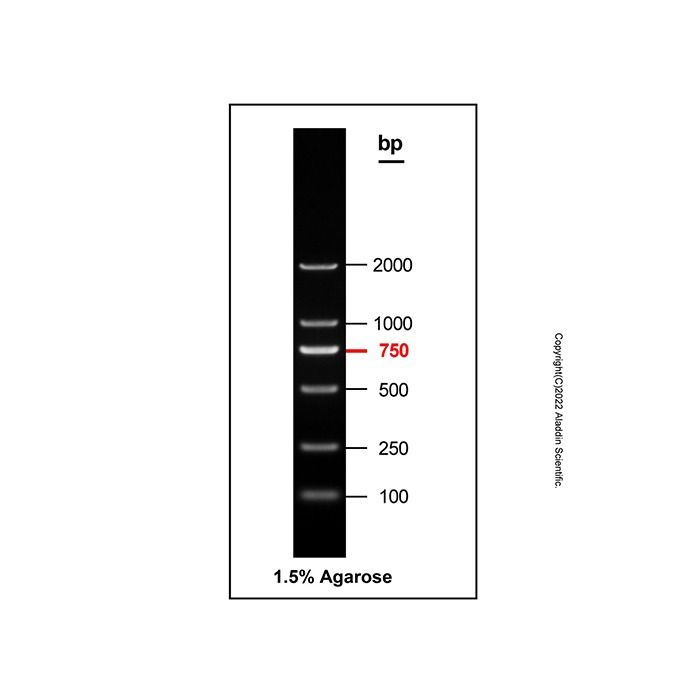 Gelred-prestained DNA Ladder (100-2000bp) - BioReagent, ready-to-use, suitable for electrophoresis, Suitable for molecular biology, for NA electrophoresis, 100-2000bp, 6 bands, 100bp/ 250bp/ 500bp/ 750bp/ 1000bp/ 2000bp  by Aladdin Scientific