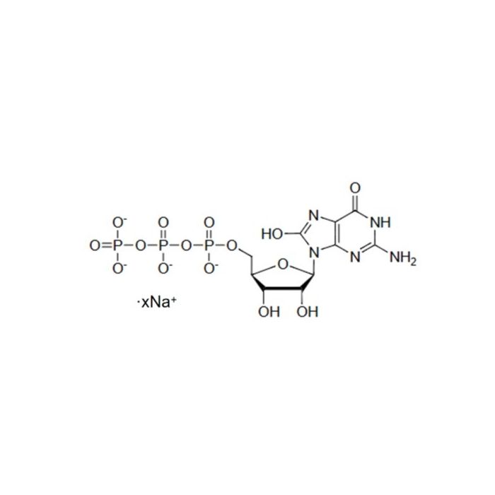 8-Oxo-guanosine-5'-triphosphate, Sodium salt - 10 mM in water CAS No(21238-36-8(free)) by Aladdin Scientific