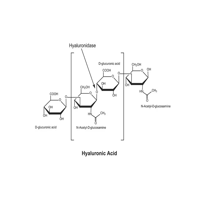 Hyaluronidase from bovine testes -   CAS No(37326-33-3) by Aladdin Scientific
