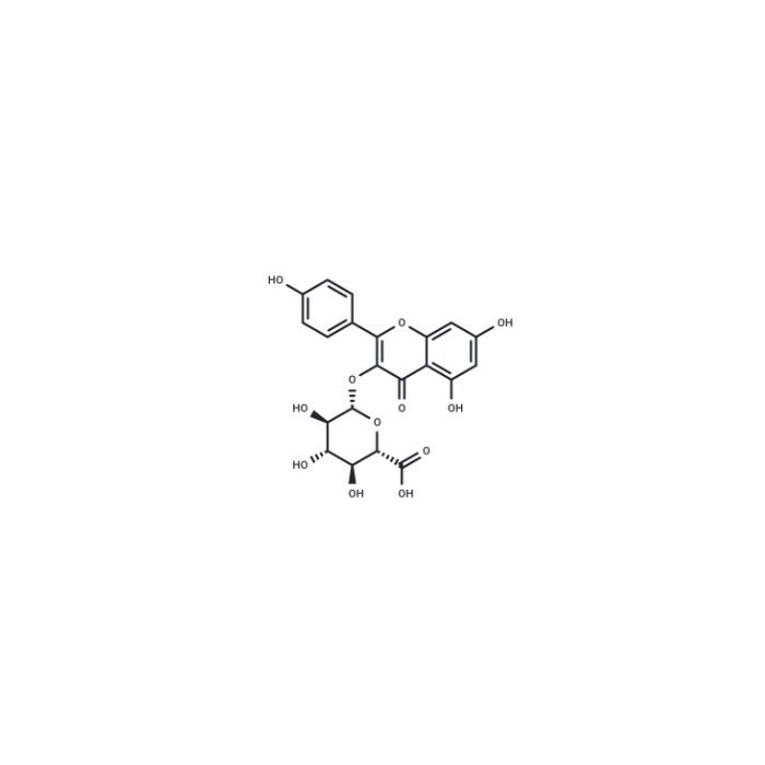 Kaempferol 3-O-β-D-glucuronide - Moligand™, ≥98% CAS No(22688-78-4) by Aladdin Scientific