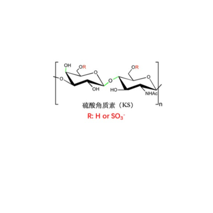 Keratan sulfate - Moligand™, ≥90% CAS No(9056-36-4) by Aladdin Scientific