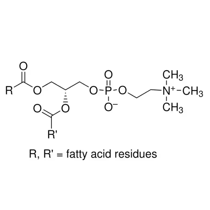 Lecithin - ≥90%, from soybean CAS No(8002-43-5) by Aladdin Scientific