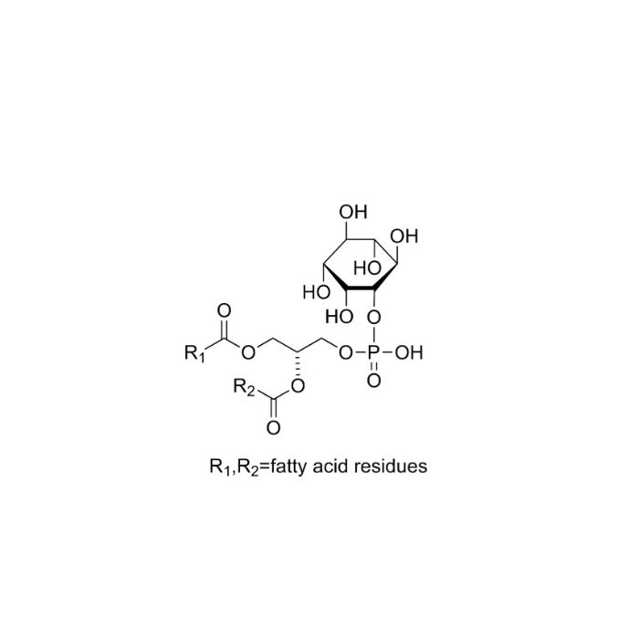 L-A-PHOSPHATIDYLINOSITOL - 50% CAS No(97281-52-2) by Aladdin Scientific