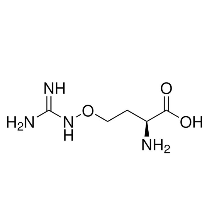 L-Canavanine - ≥98%, from Canavalia ensiformis CAS No(543-38-4) by Aladdin Scientific