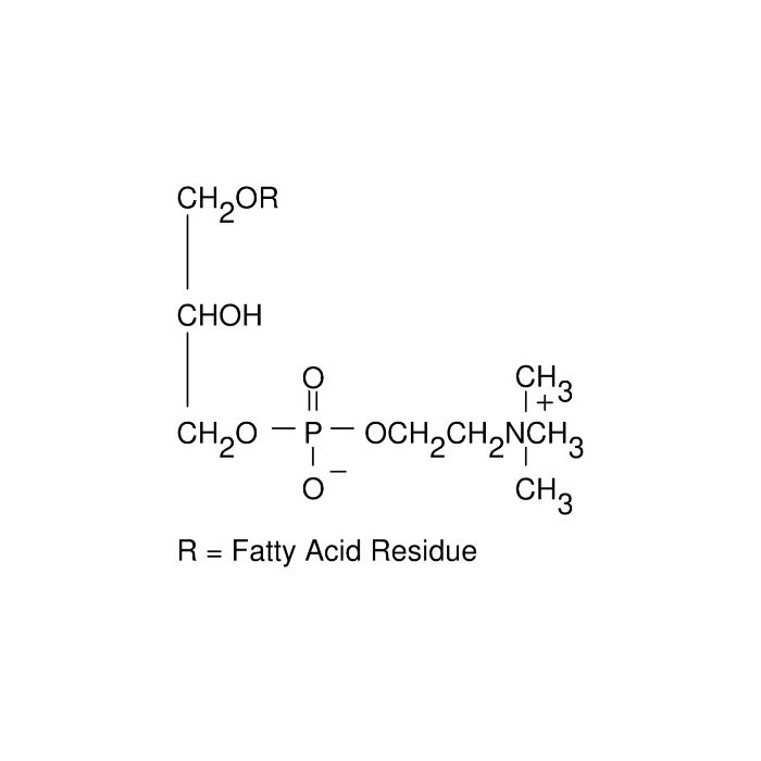 L-α-Lysophosphatidylcholine (from egg yolk) - Moligand™, ≥99%, Type I, powder CAS No(9008-30-4) by Aladdin Scientific