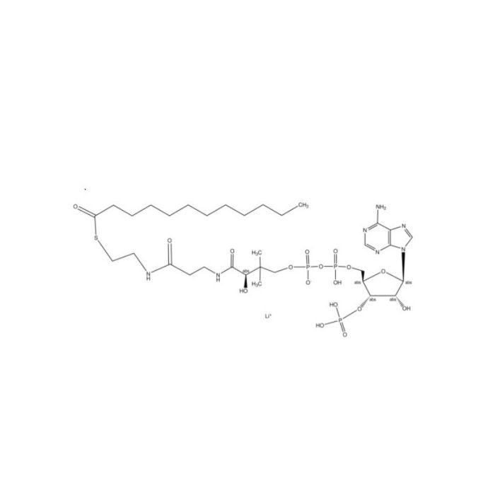 Lauroyl coenzyme A lithium salt - ≥90% CAS No(190063-12-8) by Aladdin Scientific