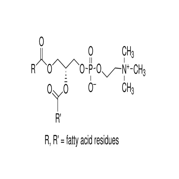 L-α-Phosphatidylcholine - Suitable for microbiology CAS No(8002-43-5) by Aladdin Scientific