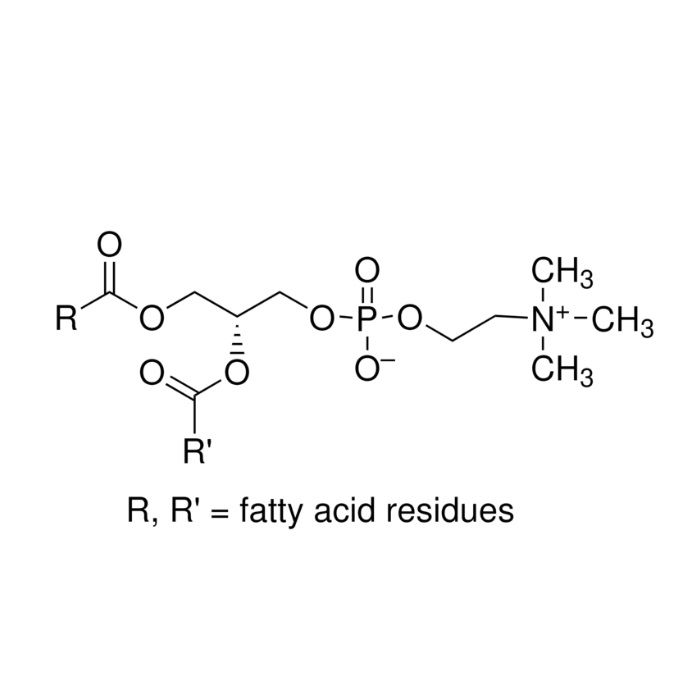 L-α-Phosphatidylcholine - ≥99%(TLC), lyophilized powder,egg yolk,Type XVI-E CAS No(8002-43-5) by Aladdin Scientific