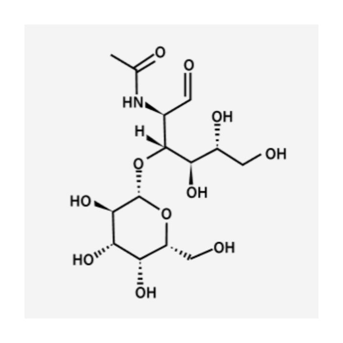 Lacto-N-Biose - ≥99% CAS No(50787-09-2) by Aladdin Scientific