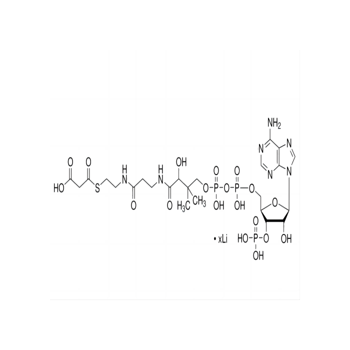 Malonyl coenzyme A lithium salt - ≥90%(HPLC) CAS No(108347-84-8) by Aladdin Scientific