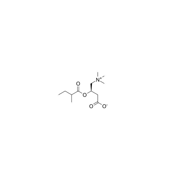 2-Methylbutyryl-L-carnitine - ≥97%(HPLC) CAS No(256928-75-3) by Aladdin Scientific