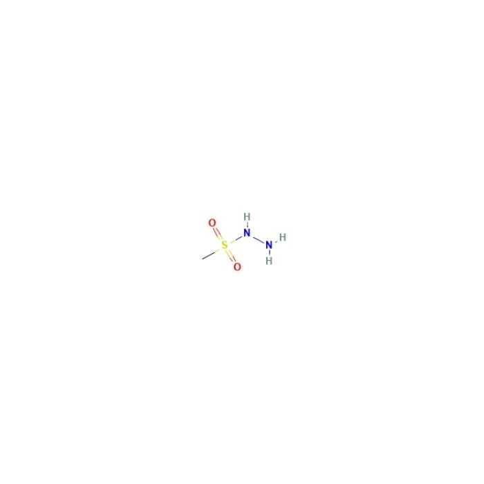 methanesulfonohydrazide - ≥97% CAS No(10393-86-9) by Aladdin Scientific