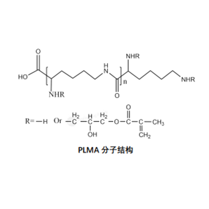 Poly-L-lysine-Methacryloyl (PLMA) - Substitution degree 20-30%  by Aladdin Scientific