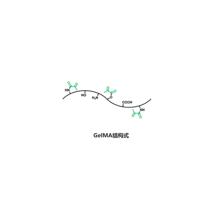 Gelatin Methacryloyl (GelMA) - Freezing strength 250 Bloom g, labeling rate 85-95%, residual methyl methacrylate ≤ 100ppm CAS No(M775152) by Aladdin Scientific