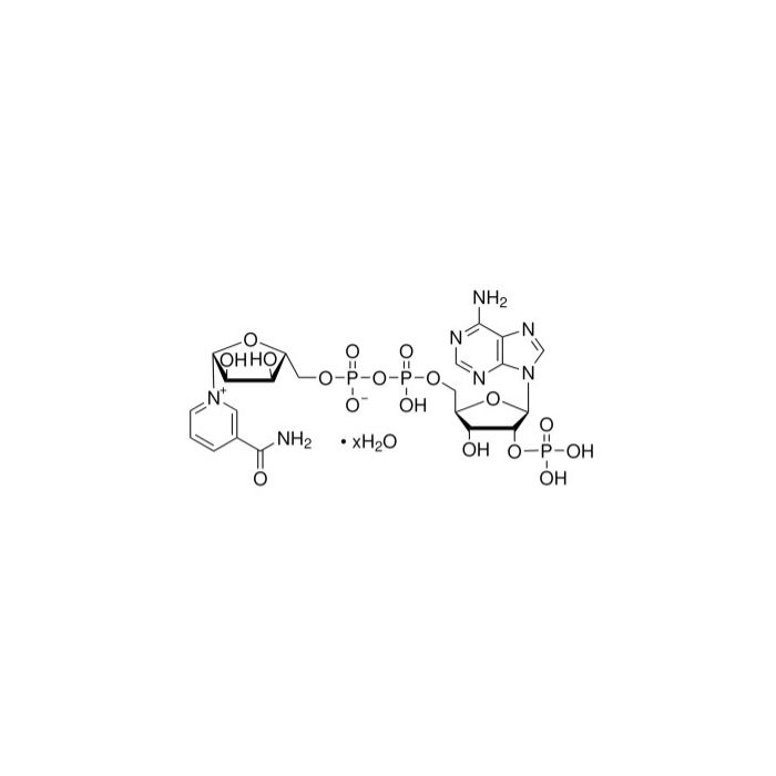 β-Nicotinamide adenine dinucleotide phosphate(NADP) hydrate - Moligand™, ≥95% CAS No(53-59-8 (anhydrous)) by Aladdin Scientific