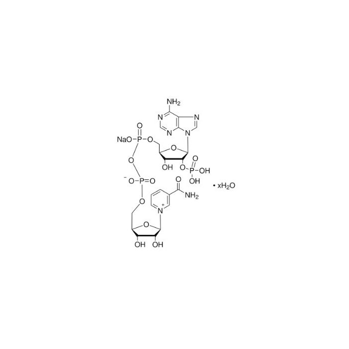 β-Nicotinamide adenine dinucleotide phosphate sodium salt hydrate(NADP) - ≥97% CAS No(1184-16-3) by Aladdin Scientific