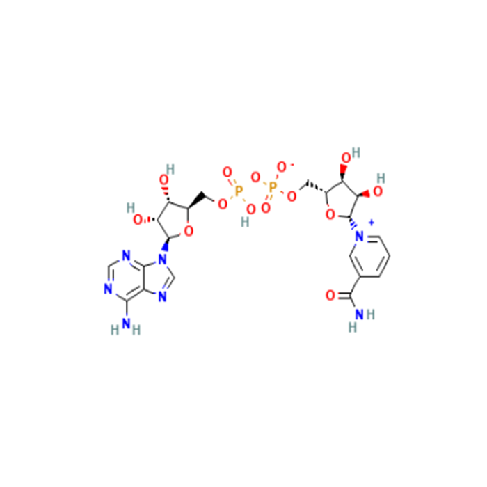 β-Nicotinamide adenine dinucleotide（NAD） - Moligand™, ≥98%(HPLC) CAS No(53-84-9) by Aladdin Scientific