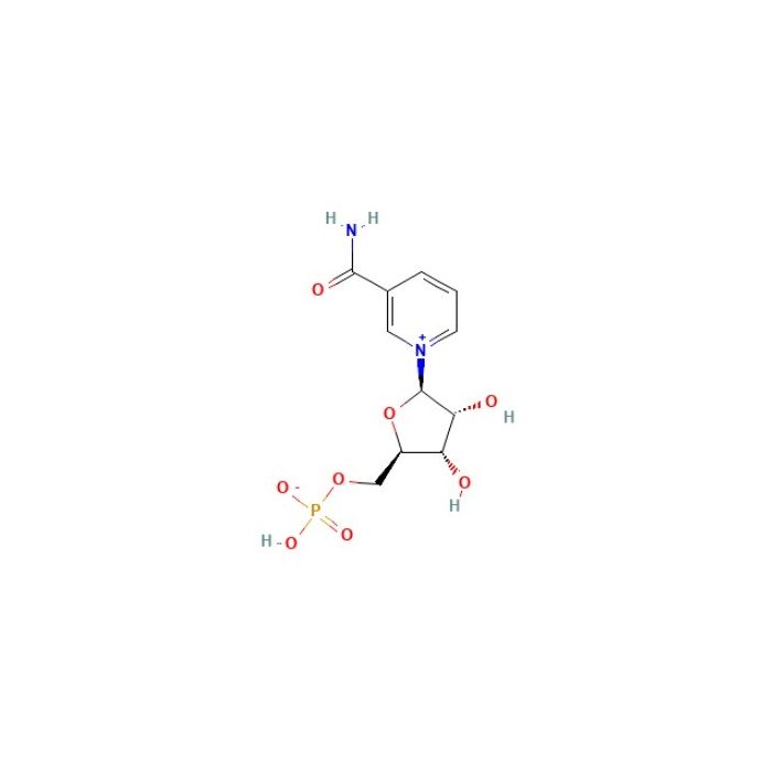 β-Nicotinamide Mononucleotide (NMN) - ≥95% CAS No(1094-61-7) by Aladdin Scientific