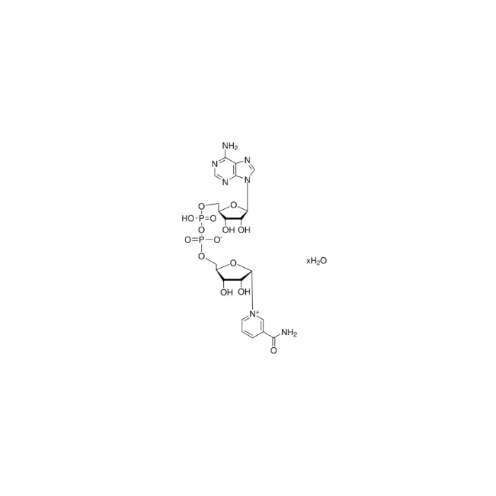 β-Nicotinamide adenine dinucleotide（NAD） - Moligand™, ≥95% CAS No(53-84-9) by Aladdin Scientific