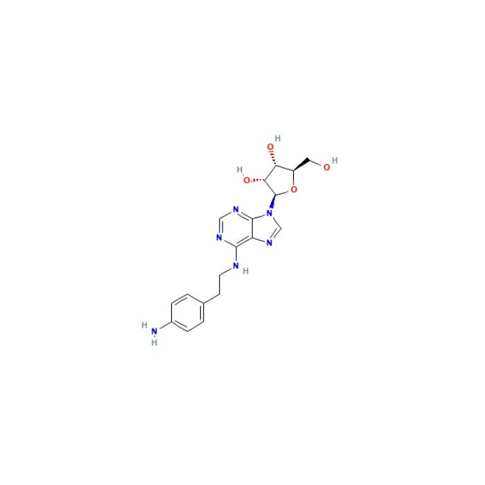 N6-2-(4-Aminophenyl)ethyladenosine - ≥97% CAS No(89705-21-5) by Aladdin Scientific