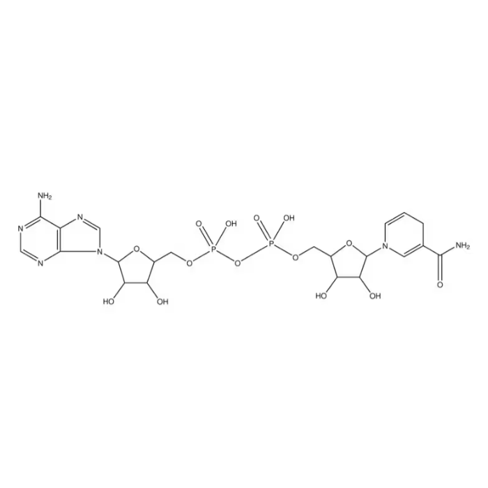 β-Nicotinamide adenine dinucleotide, reduced dipotassium salt - ≥95% CAS No(104809-32-7) by Aladdin Scientific