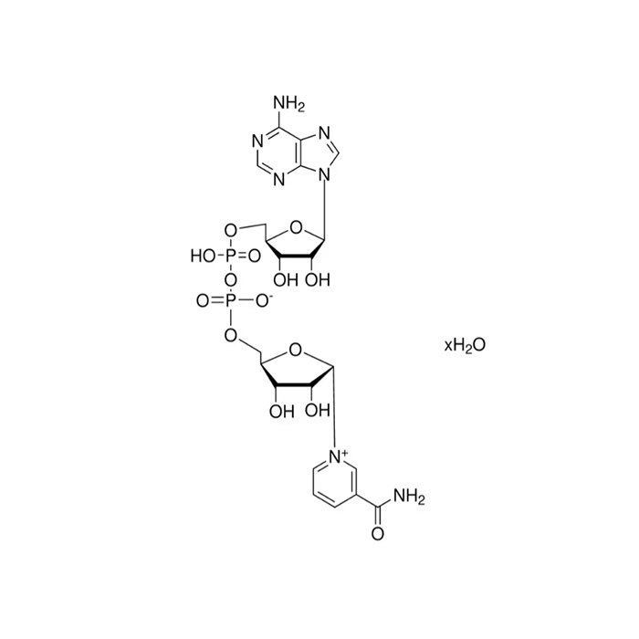 β-Nicotinamide adenine dinucleotide(NAD) - Moligand™, ≥95%(HPLC) CAS No(53-84-9) by Aladdin Scientific