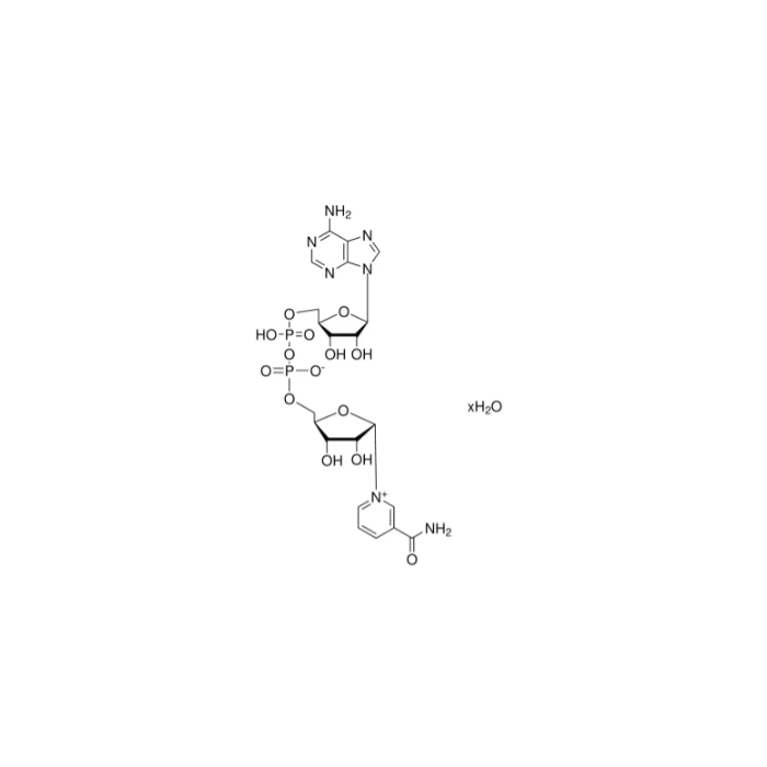 β-Nicotinamide adenine dinucleotide hydrate - Moligand™, for cell culture, ≥96.5%(HPLC),≥96.5%(spectrophotometric assay), from yeast CAS No(53-84-9) by Aladdin Scientific