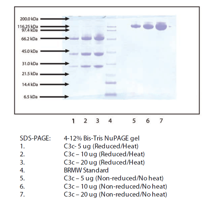 Complement C3c from Human Plasma -   CAS No(80295-41-6) by Aladdin Scientific