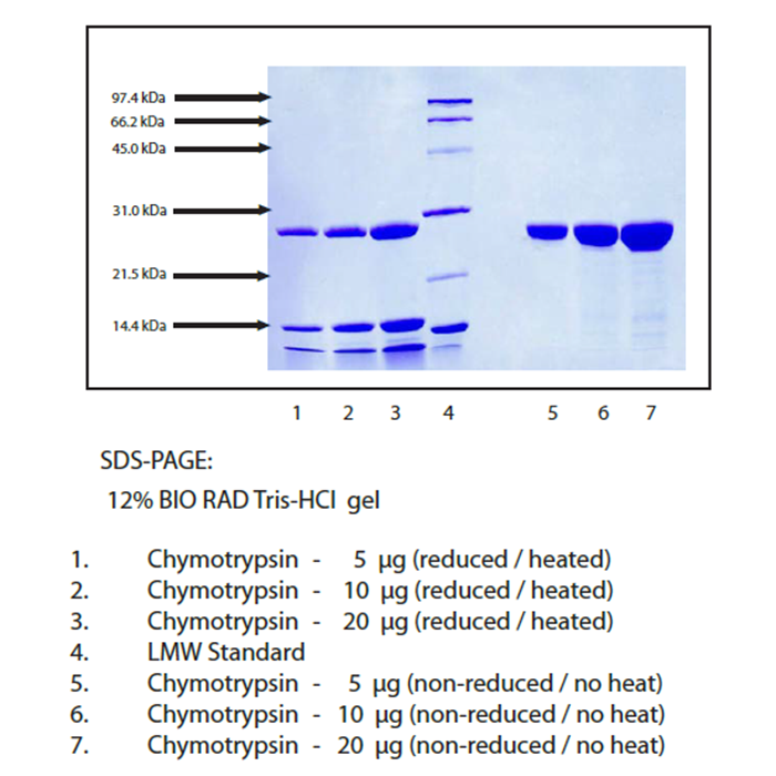 Chymotrypsin from Human Pancreas -   CAS No(9004-07-3) by Aladdin Scientific