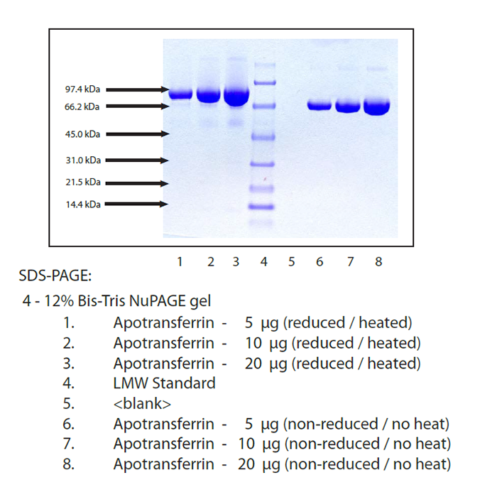 Transferrin (APO) from Human Plasma -   CAS No(11096-37-0) by Aladdin Scientific
