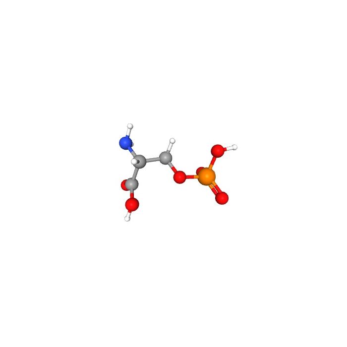 O-Phospho-D-serine - ≥97% CAS No(73913-63-0) by Aladdin Scientific