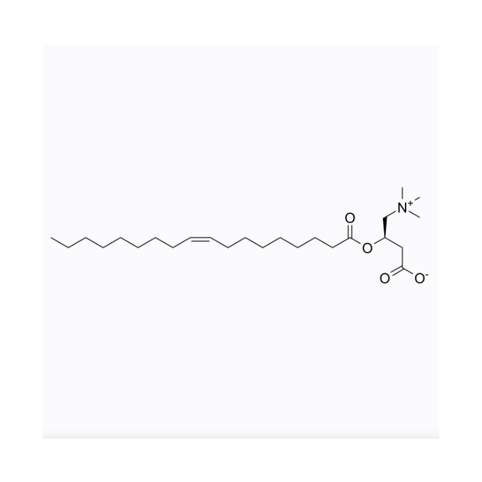 Oleoyl-L-carnitine - ≥97% CAS No(38677-66-6) by Aladdin Scientific