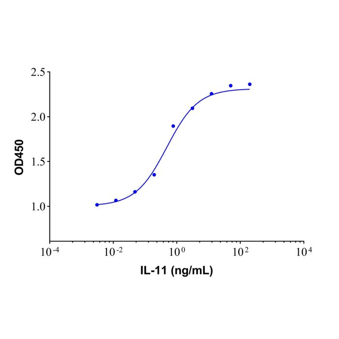 Recombinant Human IL-11 Protein -    by Aladdin Scientific