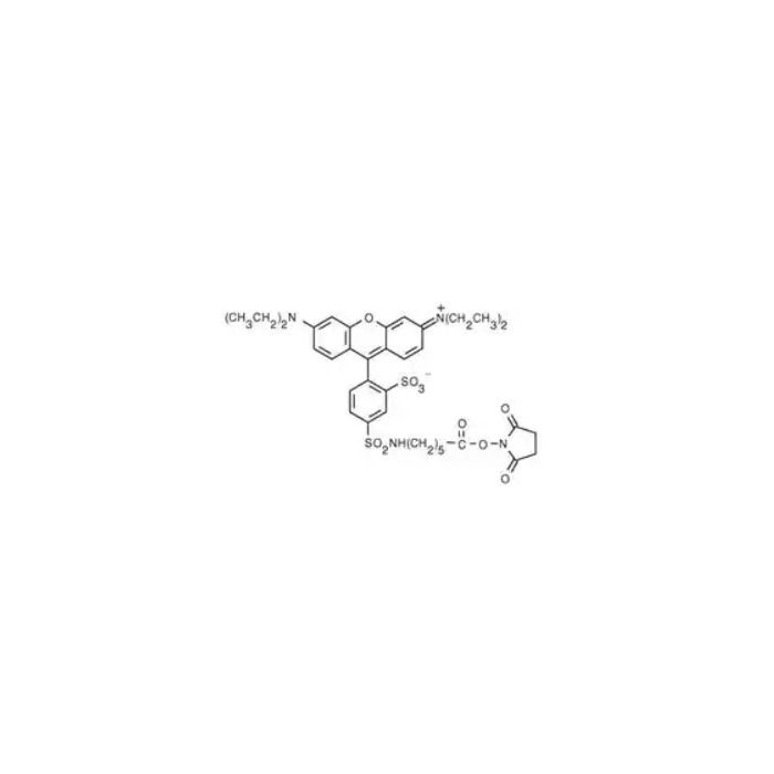 Aladdin Red-X NHS Ester, 5-isomer -  CAS No(R638991) by Aladdin Scientific