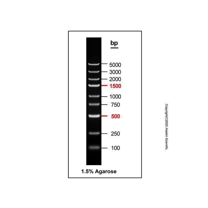 Gelred-prestained DNA Ladder (100-5000bp) - BioReagent, ready-to-use, suitable for electrophoresis, Suitable for molecular biology, for NA electrophoresis, 100-5000bp, 9 bands, 100bp/ 250bp/ 500bp/ 750bp/ 1000bp/ 1500bp/ 2000bp/ 3000bp/ 5000bp  by Aladdin