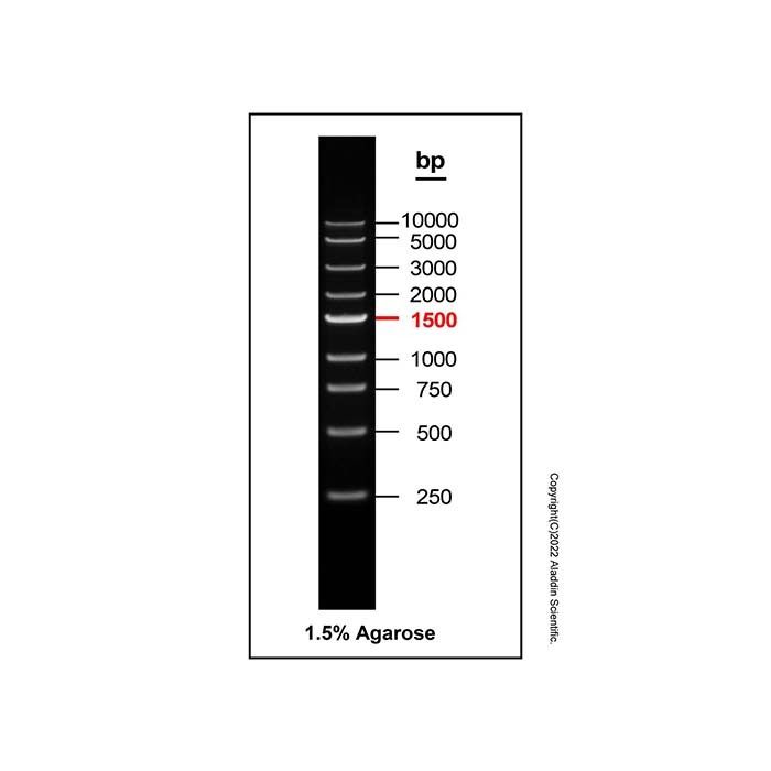 Gelred-prestained DNA Ladder (250-10000bp) - BioReagent, ready-to-use, suitable for electrophoresis, Suitable for molecular biology, for NA electrophoresis, 250-10000bp, 9 bands, 250bp/ 500bp/ 750bp/ 1000bp/ 1500bp/ 2000bp/ 3000bp/ 5000bp/ 10000bp  by Ala
