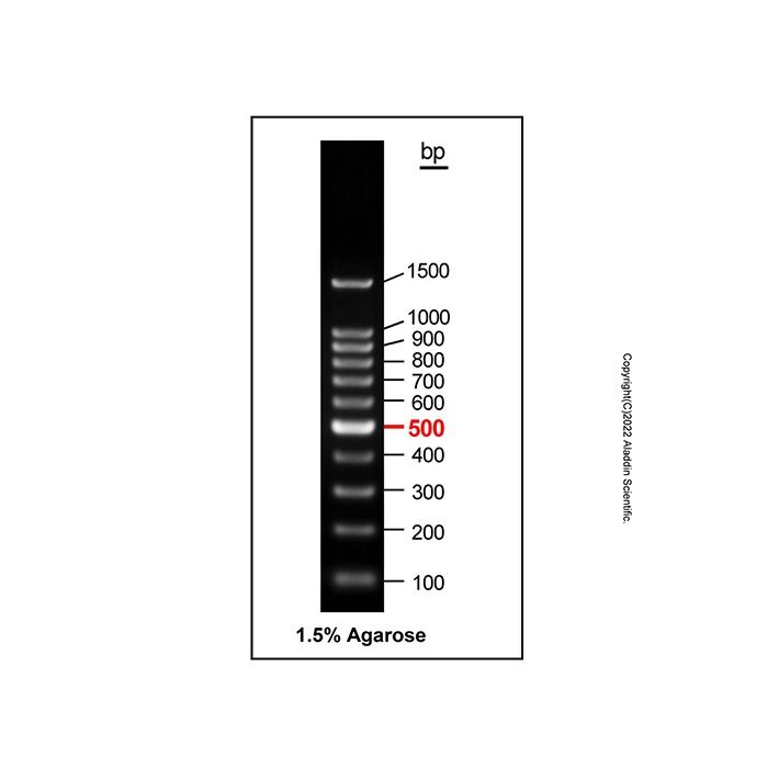 Gelred-prestained DNA Ladder (100-1500bp) - BioReagent, ready-to-use, suitable for electrophoresis, Suitable for molecular biology, for NA electrophoresis, 100-1500bp, 11 bands, 100bp/ 200bp/ 300bp/ 400bp/ 500bp/ 600bp/ 700bp/ 800bp/ 900bp/ 1000bp/ 1500bp