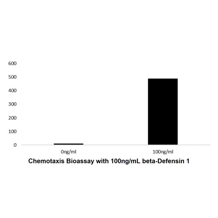 Recombinant Human beta-Defensin 1 Protein -    by Aladdin Scientific