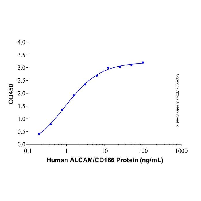 Recombinant Human ALCAM/CD166 Protein -    by Aladdin Scientific