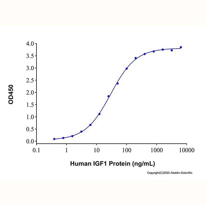 Recombinant Human IGFBP2 Protein -    by Aladdin Scientific