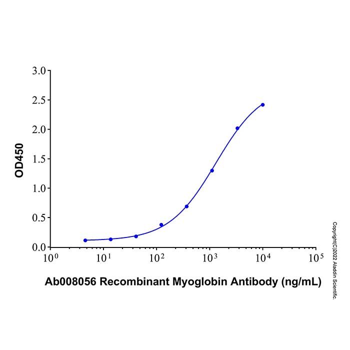 Recombinant Human Myoglobin Protein -    by Aladdin Scientific