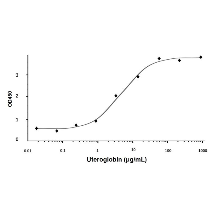 Recombinant Human Uteroglobin Protein -    by Aladdin Scientific