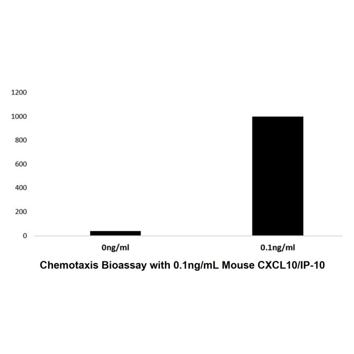 Recombinant Mouse CXCL10/IP-10 Protein -    by Aladdin Scientific