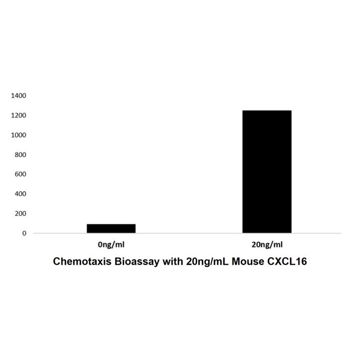 Recombinant Mouse CXCL16 Protein -    by Aladdin Scientific