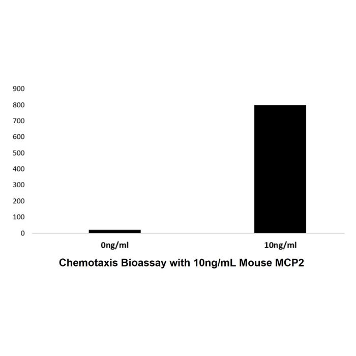 Recombinant Mouse MCP2 Protein -    by Aladdin Scientific